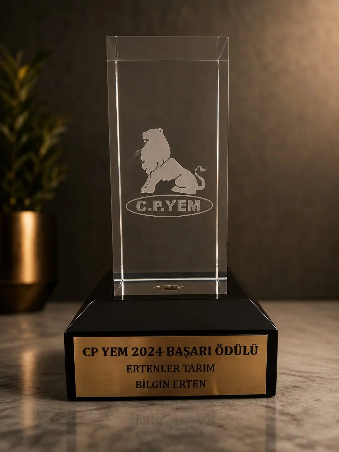 CP Yem Başarı Belgesi